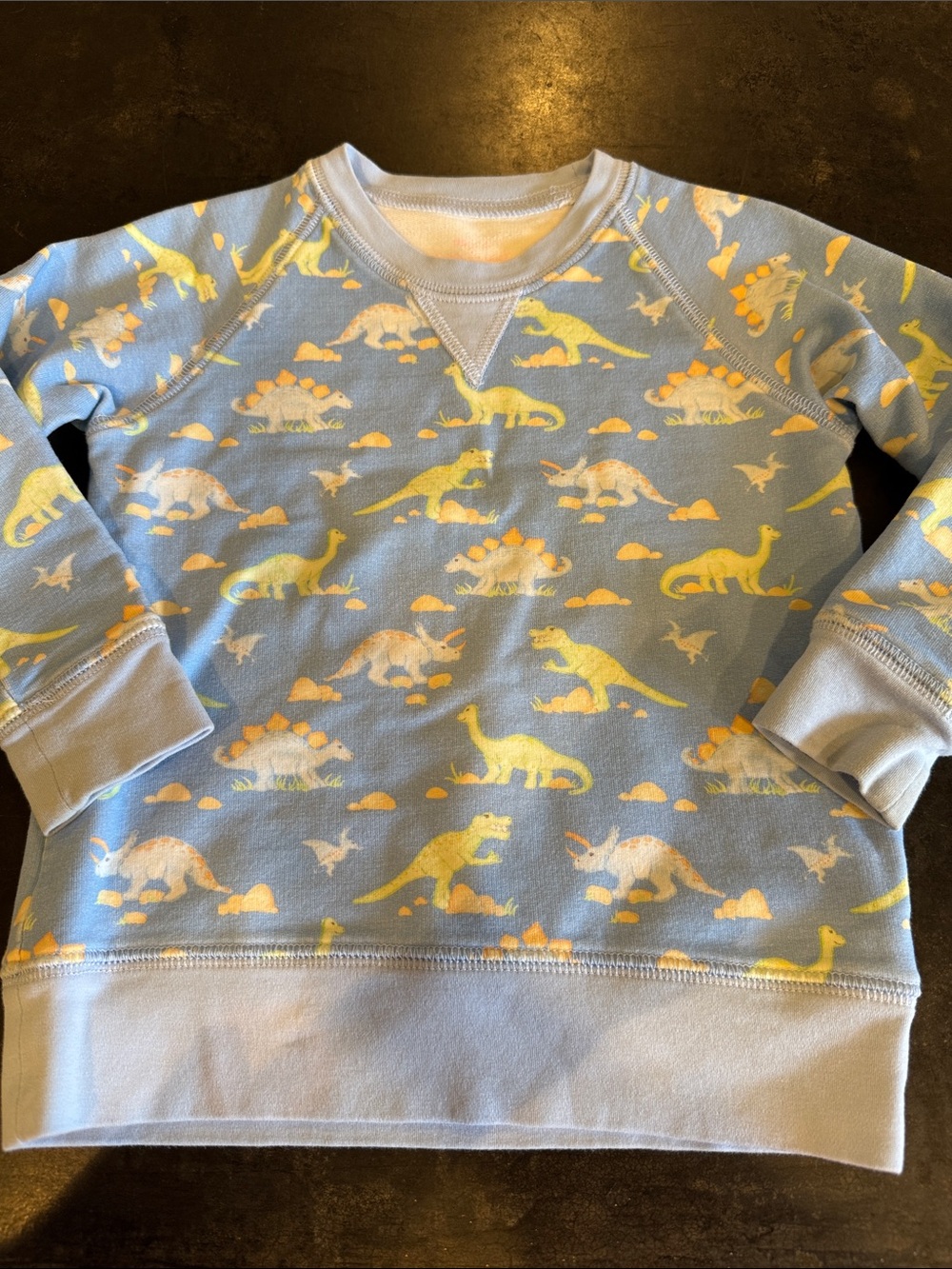 James & Lottie 2T sweatshirt